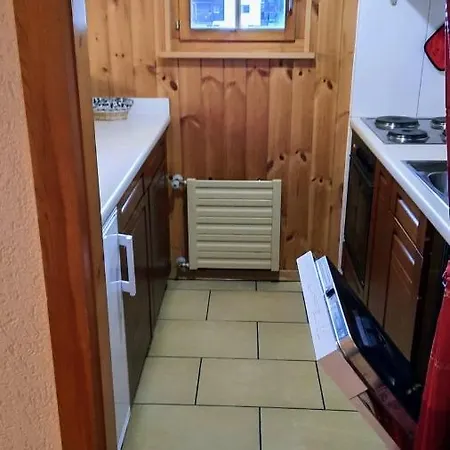 L'Herensarde, Bel Appartement Avec Jardin-Terrasse Et Garage Evolene Exterior photo